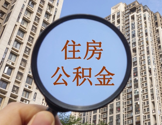 黄骅退休后查不到公积金明细了吗（退休后公积金查询不到原因）